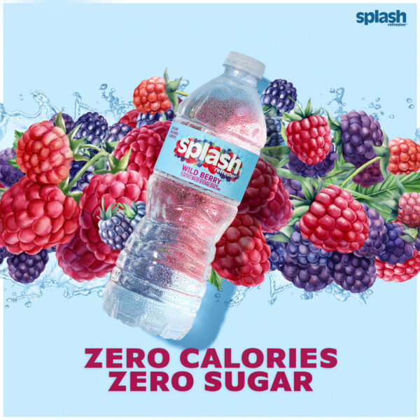 Splash Refresher Wild Berry Flavored Water, 16.9 fl oz, 6 Pack